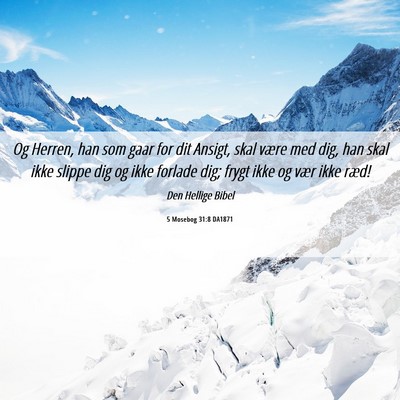 Picture 06 - 5 Mosebog 31:8 DA1871 - Og Herren, han som gaar for dit Ansigt, skal - Bible Verse Picture