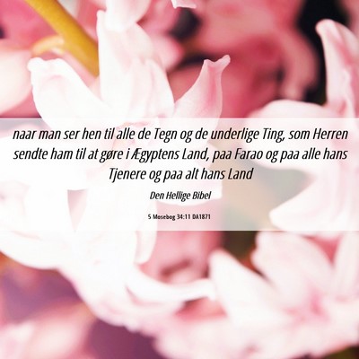 Picture 06 - 5 Mosebog 34:11 DA1871 - naar man ser hen til alle de Tegn og de underlige - Bible Verse Picture