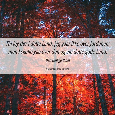 Picture 06 - 5 Mosebog 4:22 DA1871 - Thi jeg dør i dette Land, jeg gaar ikke over - Bible Verse Picture