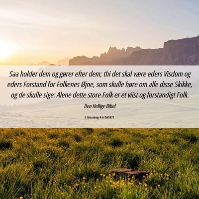 Picture 06 - 5 Mosebog 4:6 DA1871 - Saa holder dem og gører efter dem; thi det skal - Bible Verse Picture