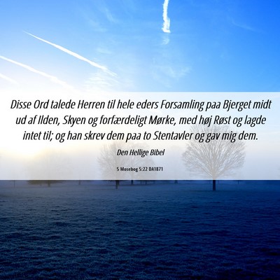 Picture 06 - 5 Mosebog 5:22 DA1871 - Disse Ord talede Herren til hele eders Forsamling - Bible Verse Picture