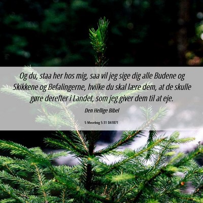 Picture 06 - 5 Mosebog 5:31 DA1871 - Og du, staa her hos mig, saa vil jeg sige dig - Bible Verse Picture