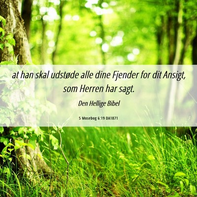 Picture 06 - 5 Mosebog 6:19 DA1871 - at han skal udstøde alle dine Fjender for dit - Bible Verse Picture