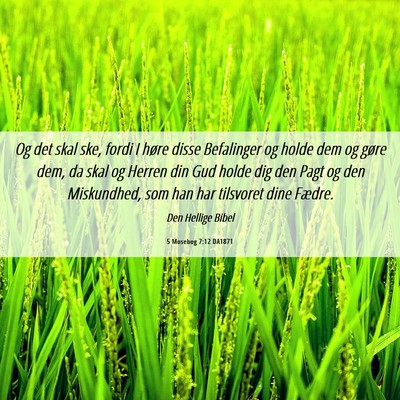 Picture 06 - 5 Mosebog 7:12 DA1871 - Og det skal ske, fordi I høre disse Befalinger - Bible Verse Picture