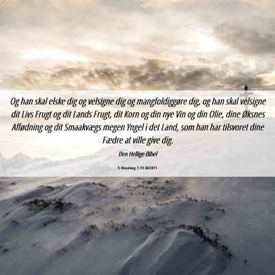 Picture 06 - 5 Mosebog 7:13 DA1871 - Og han skal elske dig og velsigne dig og - Bible Verse Picture