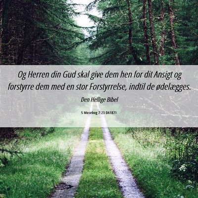 Picture 06 - 5 Mosebog 7:23 DA1871 - Og Herren din Gud skal give dem hen for dit - Bible Verse Picture