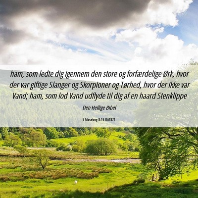Picture 06 - 5 Mosebog 8:15 DA1871 - ham, som ledte dig igennem den store og - Bible Verse Picture
