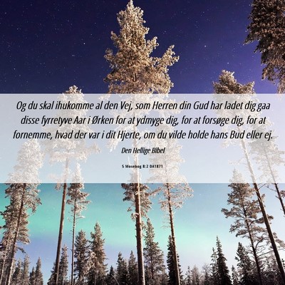 Picture 06 - 5 Mosebog 8:2 DA1871 - Og du skal ihukomme al den Vej, som Herren din - Bible Verse Picture