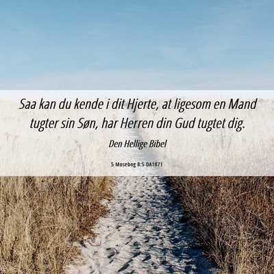 Picture 06 - 5 Mosebog 8:5 DA1871 - Saa kan du kende i dit Hjerte, at ligesom en Mand - Bible Verse Picture