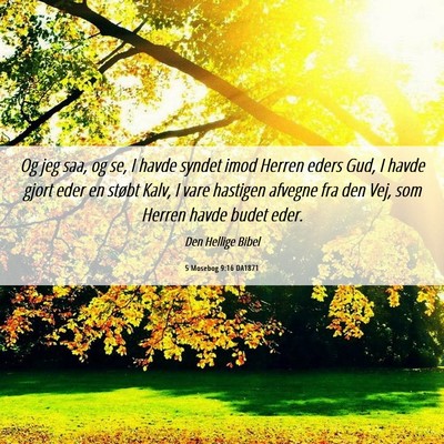 Picture 06 - 5 Mosebog 9:16 DA1871 - Og jeg saa, og se, I havde syndet imod Herren - Bible Verse Picture