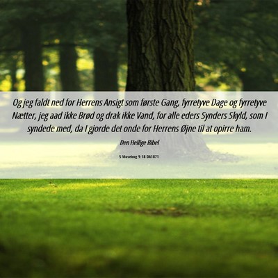 Picture 06 - 5 Mosebog 9:18 DA1871 - Og jeg faldt ned for Herrens Ansigt som første - Bible Verse Picture