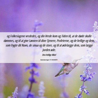 Picture 06 - Aabenbaringen 11:18 DA1871 - og Folkeslagene vrededes, og din Vrede kom og - Bible Verse Picture