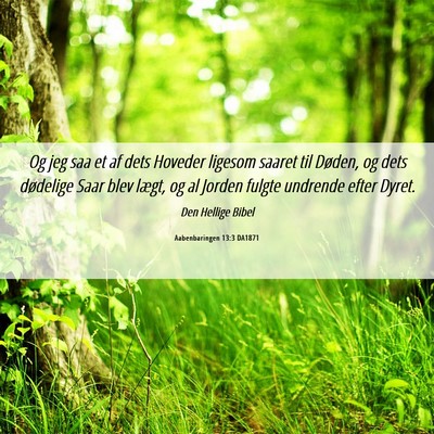 Picture 06 - Aabenbaringen 13:3 DA1871 - Og jeg saa et af dets Hoveder ligesom saaret til - Bible Verse Picture