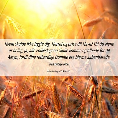 Picture 06 - Aabenbaringen 15:4 DA1871 - Hvem skulde ikke frygte dig, Herre! og prise dit - Bible Verse Picture