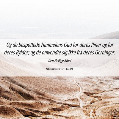 Picture 06 - Aabenbaringen 16:11 DA1871 - Og de bespottede Himmelens Gud for deres Piner og - Bible Verse Picture