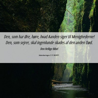 Picture 06 - Aabenbaringen 2:11 DA1871 - Den, som har Øre, høre, hvad Aanden siger til - Bible Verse Picture