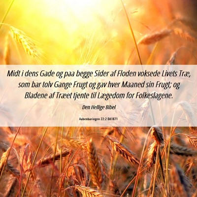 Picture 06 - Aabenbaringen 22:2 DA1871 - Midt i dens Gade og paa begge Sider af Floden - Bible Verse Picture