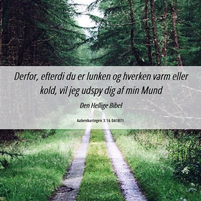Picture 06 - Aabenbaringen 3:16 DA1871 - Derfor, efterdi du er lunken og hverken varm - Bible Verse Picture