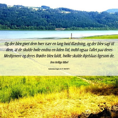 Picture 06 - Aabenbaringen 6:11 DA1871 - Og der blev givet dem hver især en lang hvid - Bible Verse Picture