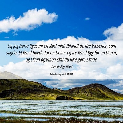 Picture 06 - Aabenbaringen 6:6 DA1871 - Og jeg hørte ligesom en Røst midt iblandt de - Bible Verse Picture