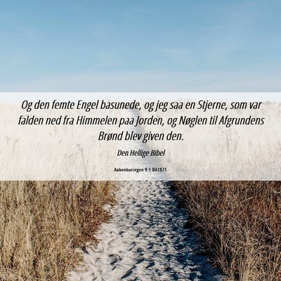 Picture 06 - Aabenbaringen 9:1 DA1871 - Og den femte Engel basunede, og jeg saa en - Bible Verse Picture