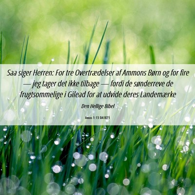 Picture 06 - Amos 1:13 DA1871 - Saa siger Herren: For tre Overtrædelser af - Bible Verse Picture