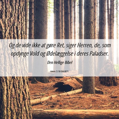 Picture 06 - Amos 3:10 DA1871 - Og de vide ikke at gøre Ret, siger Herren, de, - Bible Verse Picture
