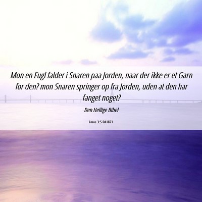 Picture 06 - Amos 3:5 DA1871 - Mon en Fugl falder i Snaren paa Jorden, naar der - Bible Verse Picture