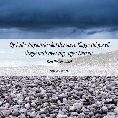 Picture 06 - Amos 5:17 DA1871 - Og i alle Vingaarde skal der være Klage; thi jeg - Bible Verse Picture