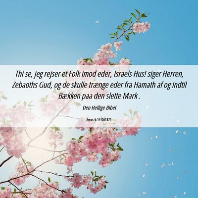 Picture 06 - Amos 6:14 DA1871 - Thi se, jeg rejser et Folk imod eder, Israels - Bible Verse Picture