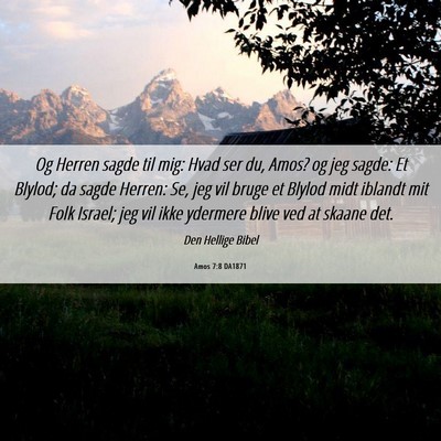Picture 06 - Amos 7:8 DA1871 - Og Herren sagde til mig: Hvad ser du, Amos? og - Bible Verse Picture