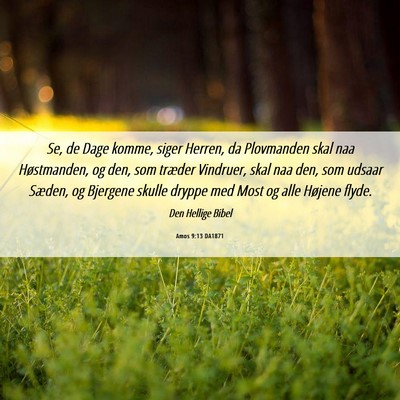 Picture 06 - Amos 9:13 DA1871 - Se, de Dage komme, siger Herren, da Plovmanden - Bible Verse Picture
