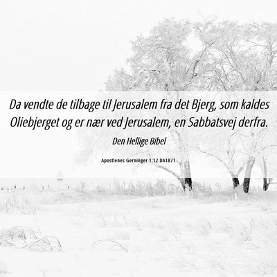 Picture 06 - Apostlenes Gerninger 1:12 DA1871 - Da vendte de tilbage til Jerusalem fra det Bjerg, - Bible Verse Picture