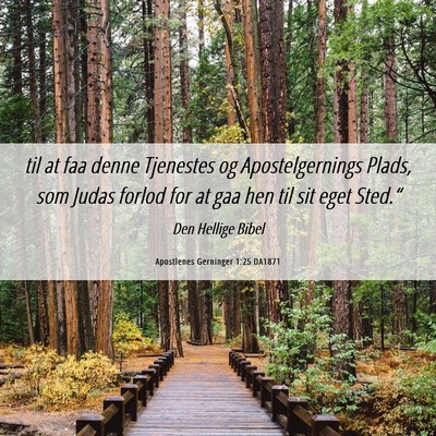 Picture 06 - Apostlenes Gerninger 1:25 DA1871 - til at faa denne Tjenestes og Apostelgernings - Bible Verse Picture