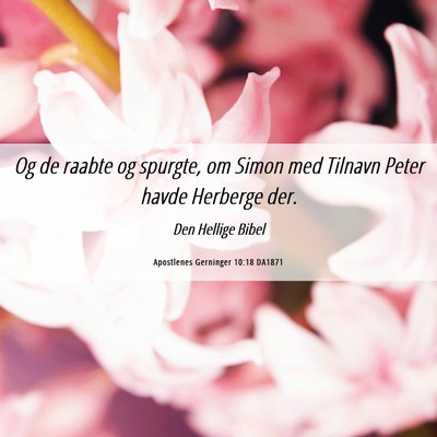 Picture 06 - Apostlenes Gerninger 10:18 DA1871 - Og de raabte og spurgte, om Simon med Tilnavn - Bible Verse Picture