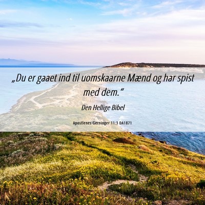 Picture 06 - Apostlenes Gerninger 11:3 DA1871 - „Du er gaaet ind til uomskaarne Mænd og har - Bible Verse Picture