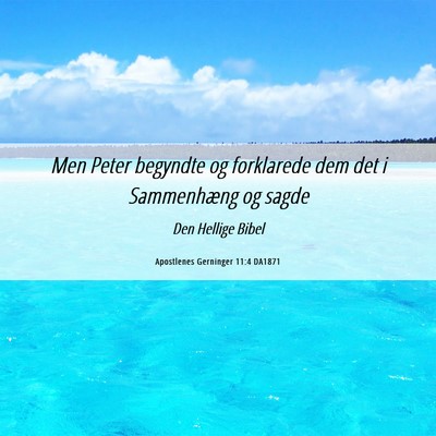 Picture 06 - Apostlenes Gerninger 11:4 DA1871 - Men Peter begyndte og forklarede dem det i - Bible Verse Picture