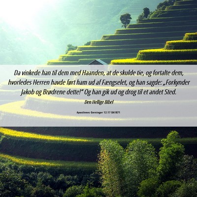 Picture 06 - Apostlenes Gerninger 12:17 DA1871 - Da vinkede han til dem med Haanden, at de skulde - Bible Verse Picture