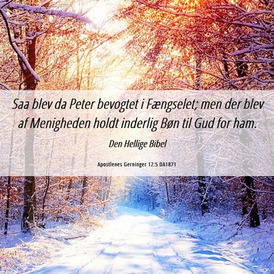 Picture 06 - Apostlenes Gerninger 12:5 DA1871 - Saa blev da Peter bevogtet i Fængselet; men der - Bible Verse Picture
