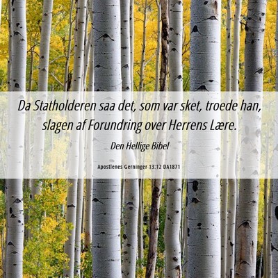 Picture 06 - Apostlenes Gerninger 13:12 DA1871 - Da Statholderen saa det, som var sket, troede - Bible Verse Picture