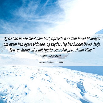 Picture 06 - Apostlenes Gerninger 13:22 DA1871 - Og da han havde taget ham bort, oprejste han dem - Bible Verse Picture