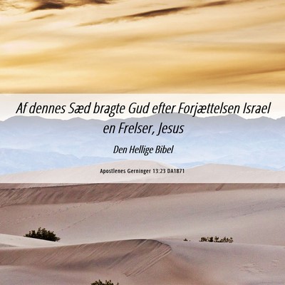 Picture 06 - Apostlenes Gerninger 13:23 DA1871 - Af dennes Sæd bragte Gud efter Forjættelsen - Bible Verse Picture