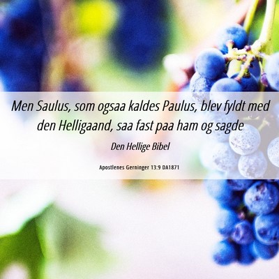Picture 06 - Apostlenes Gerninger 13:9 DA1871 - Men Saulus, som ogsaa kaldes Paulus, blev fyldt - Bible Verse Picture