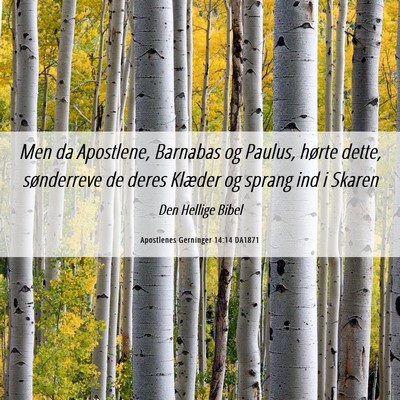 Picture 06 - Apostlenes Gerninger 14:14 DA1871 - Men da Apostlene, Barnabas og Paulus, hørte - Bible Verse Picture