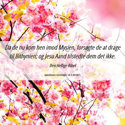 Picture 06 - Apostlenes Gerninger 16:7 DA1871 - Da de nu kom hen imod Mysien, forsøgte de at - Bible Verse Picture