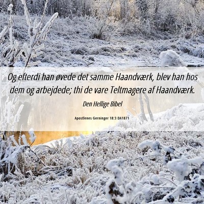 Picture 06 - Apostlenes Gerninger 18:3 DA1871 - Og efterdi han øvede det samme Haandværk, blev - Bible Verse Picture