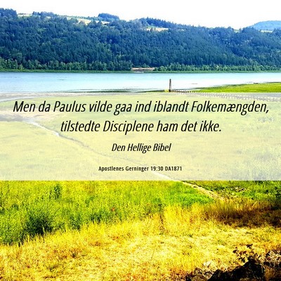 Picture 06 - Apostlenes Gerninger 19:30 DA1871 - Men da Paulus vilde gaa ind iblandt - Bible Verse Picture