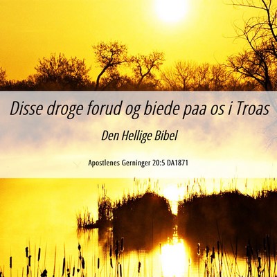 Picture 06 - Apostlenes Gerninger 20:5 DA1871 - Disse droge forud og biede paa os i - Bible Verse Picture