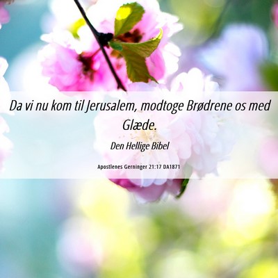 Picture 06 - Apostlenes Gerninger 21:17 DA1871 - Da vi nu kom til Jerusalem, modtoge Brødrene os - Bible Verse Picture