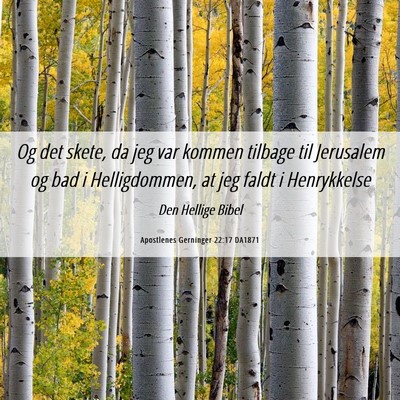 Picture 06 - Apostlenes Gerninger 22:17 DA1871 - Og det skete, da jeg var kommen tilbage til - Bible Verse Picture